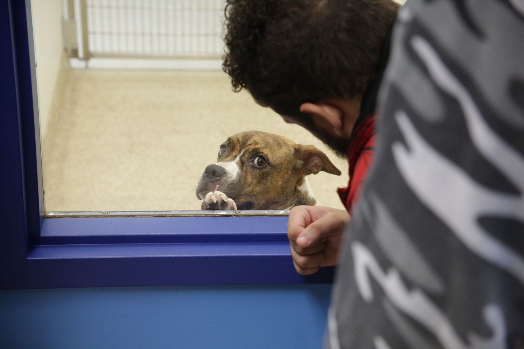 Humane Indiana opens at Alsip_0747.JPG